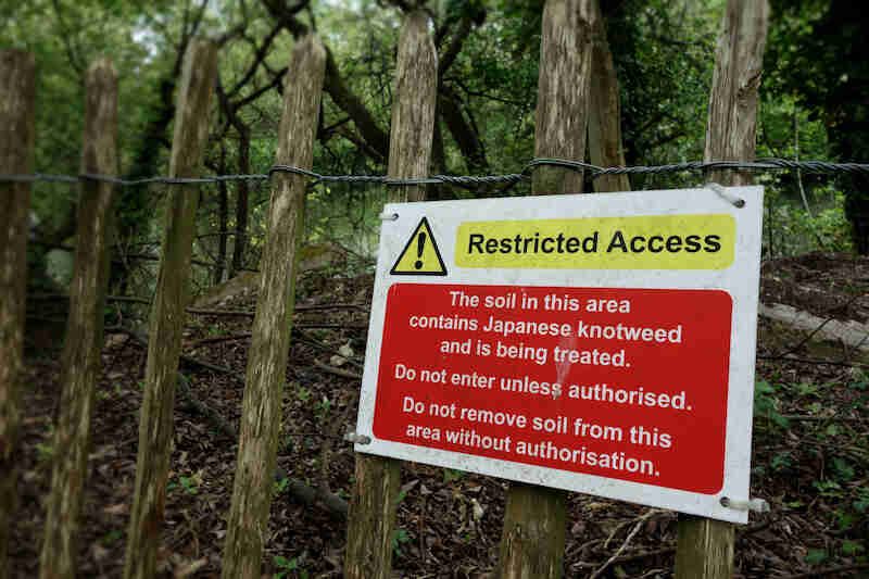 House Hunters Urged to Look out for Property Red Flags-2